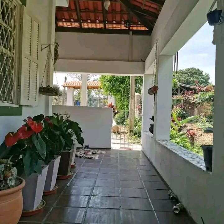  - Chácara à venda em Piraí, com 4 quartos, 4120m²
