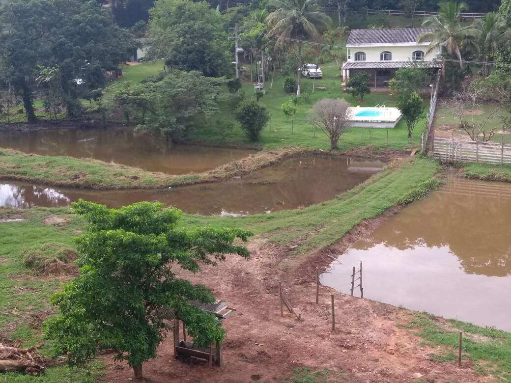 Sítio à venda com 4 quartos, 2000m² - ,Sapucaia