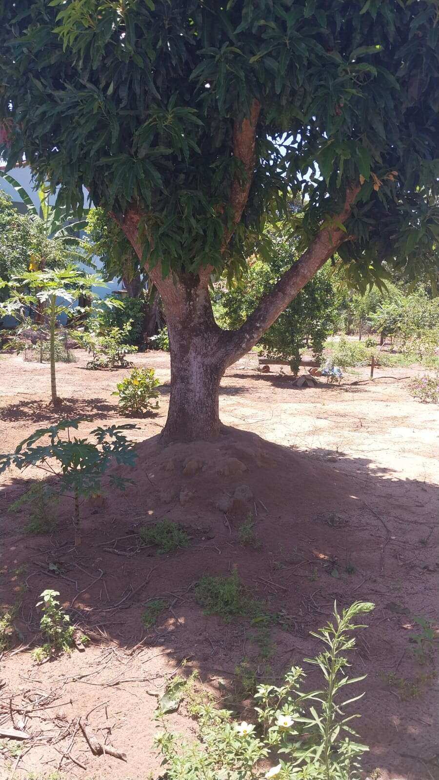 Terreno à venda - Bonsucesso (Bacaxá),Saquarema