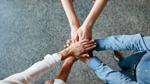 Corretor - Corretor Parceiro